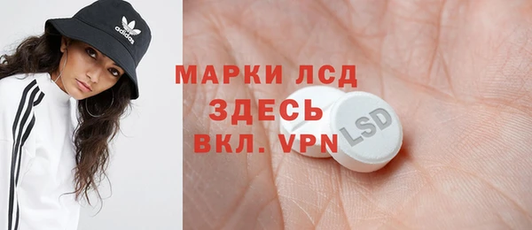 молекула духа Пересвет