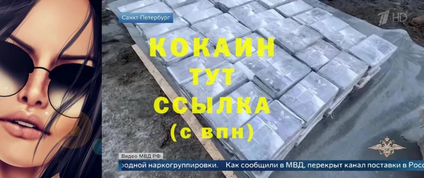 мдпв Вязьма