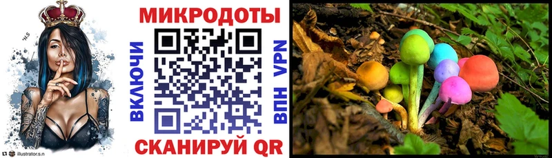 наркота Камбарка Галлюциногенные грибы Magic Shrooms